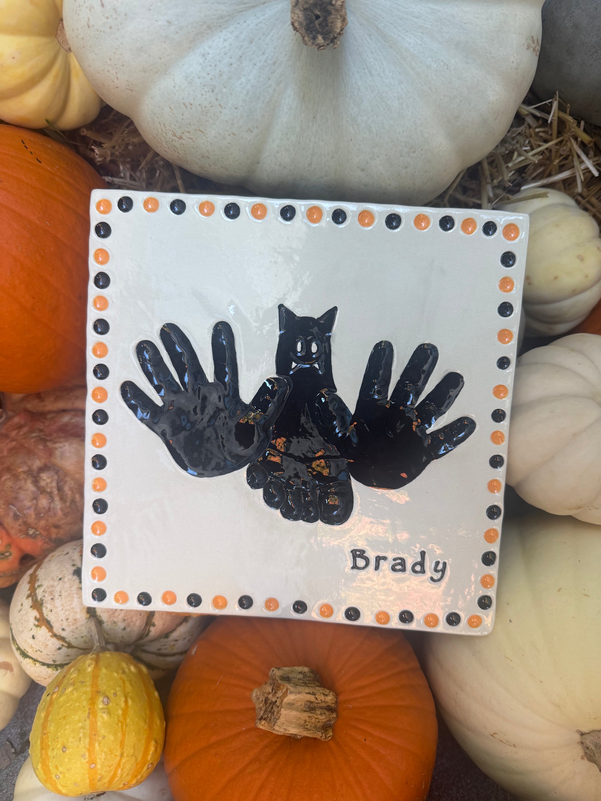 Bat Plate